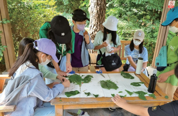 생태 숲 체험 프로그램 - 프로그램 참여(모담공원)