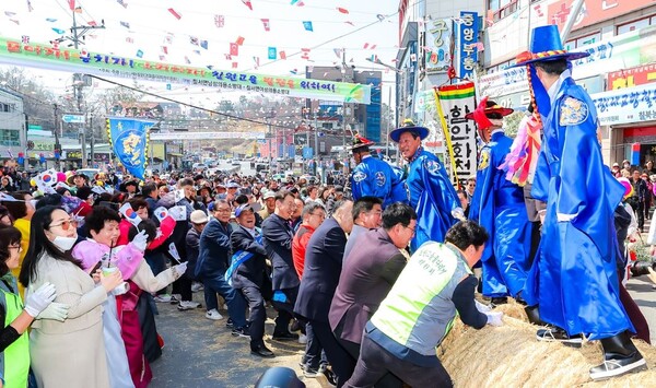 3천 명의 함성, 40톤의 줄을 당기다!” 함안군, ‘칠원고을줄다리기’